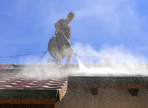 soft pressure washing service on residential roof